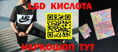 МДПВ Кингисепп