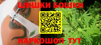 МДПВ Кингисепп