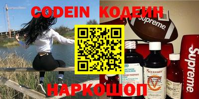МДПВ Кингисепп