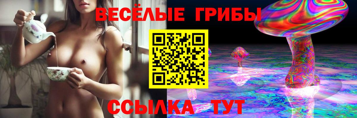 Касимов  Галлюциногенные грибы мицелий  Вход с VPN 